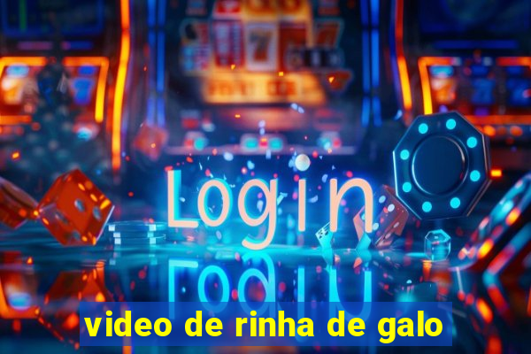 video de rinha de galo